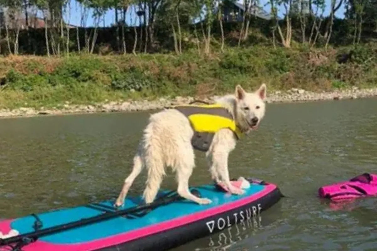 What Size Paddleboard Do I Need? A Canadian Sizing Guide