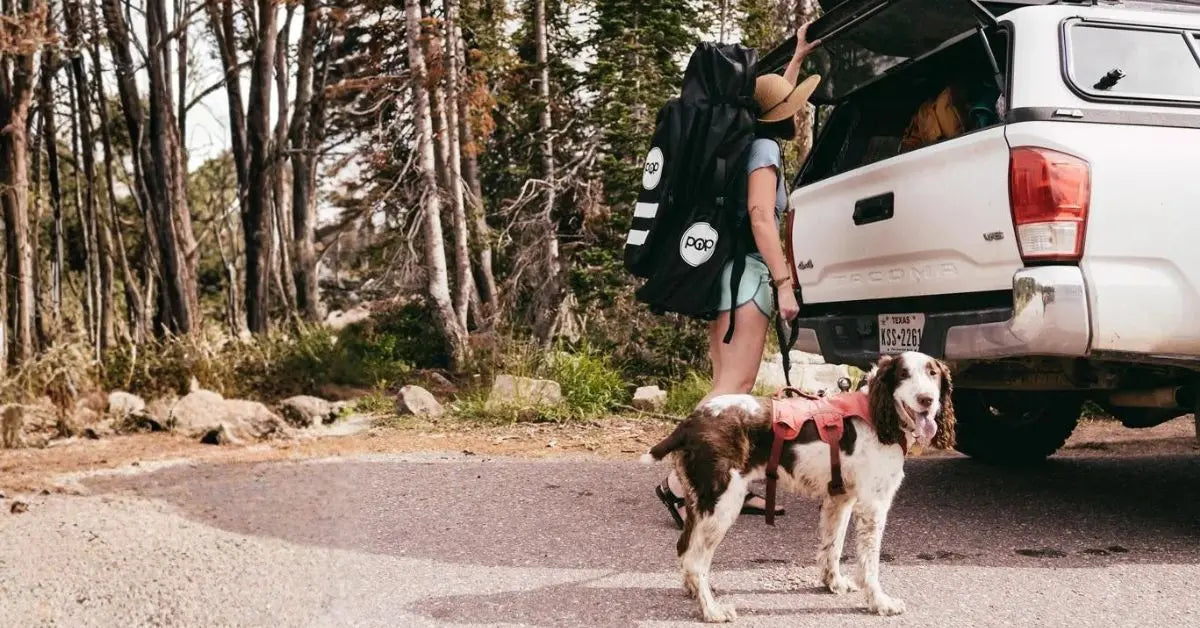 The History and Evolution of Paddle Boarding