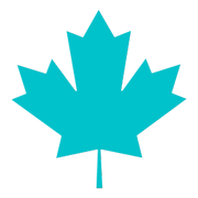 Canadian Board Co logo