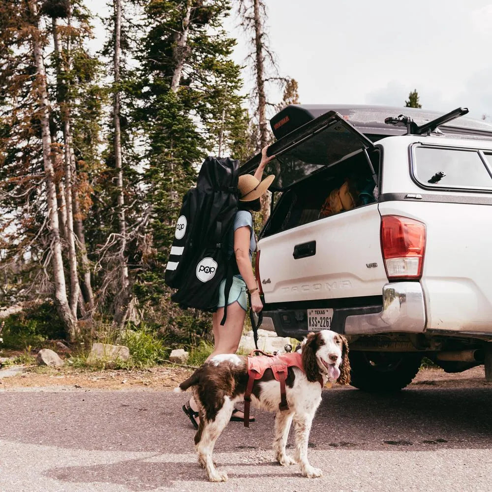Person with a dog by an open car trunk in a forest setting