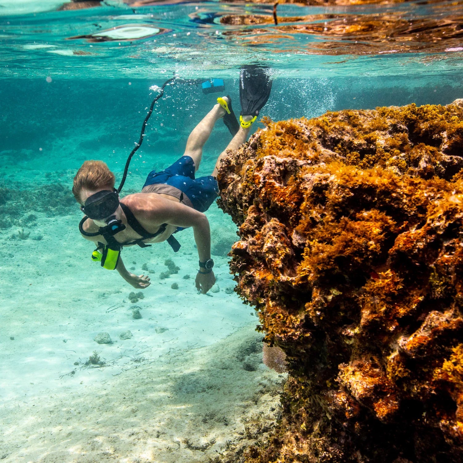 Diver using DiveBlu3 Nomad tankless diving system exploring coral reef underwater.